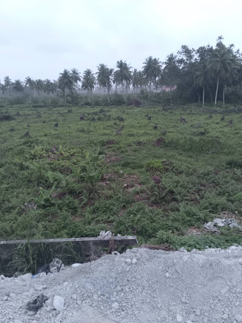 TERRAIN TRÈS TRÈS BIEN PLACÉ EN BORDURE DE LA GRANDE VOIE DE BASSAM 