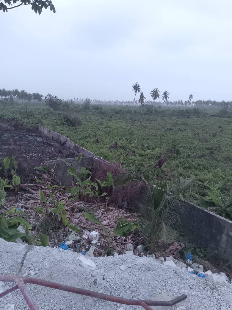 TERRAIN TRÈS TRÈS BIEN PLACÉ EN BORDURE DE LA GRANDE VOIE DE BASSAM 