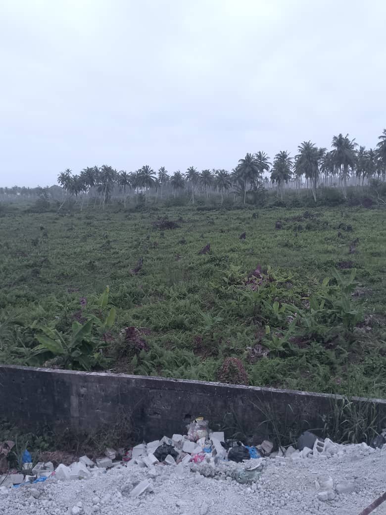 TERRAIN TRÈS TRÈS BIEN PLACÉ EN BORDURE DE LA GRANDE VOIE DE BASSAM 