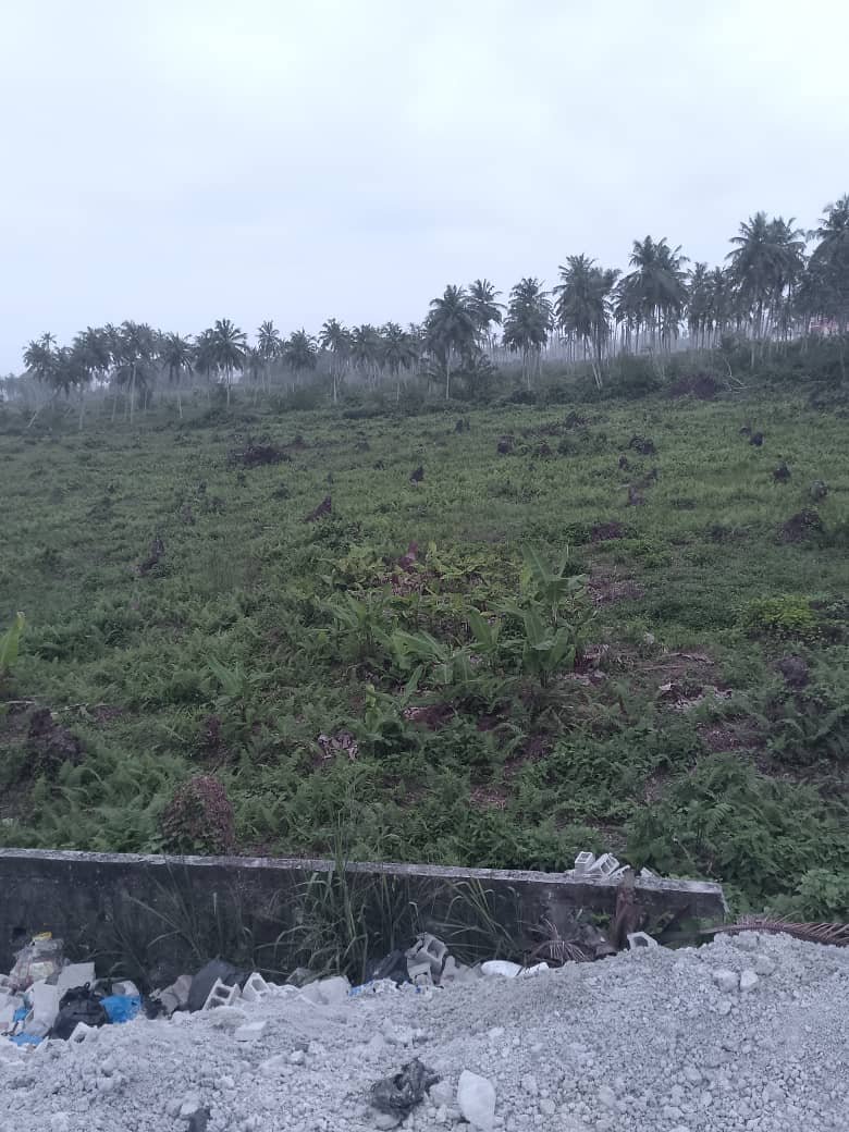 TERRAIN TRÈS TRÈS BIEN PLACÉ EN BORDURE DE LA GRANDE VOIE DE BASSAM 